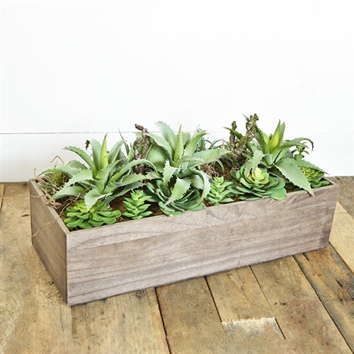 Succulent Box - Urbanlux
