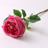 17" Real touch Rose Stem: Fuchsia