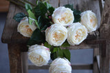 17" Real touch English Cabbage Rose Stem: White