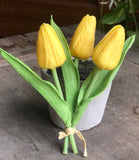 Mini Tulips(3pc)