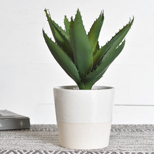 11” Faux Potted Aloe Plant in White Ceramic Pot