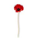 Real Touch Mini Poppy - Urbanlux 