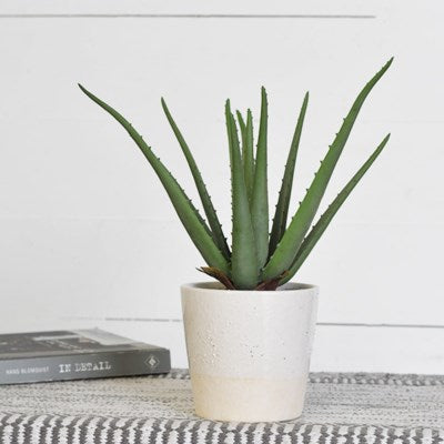 14” Faux Potted Aloe Plant