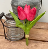 Mini Tulips(3pc)