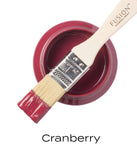 Cranberry Paint by Fusion Mineral Paint